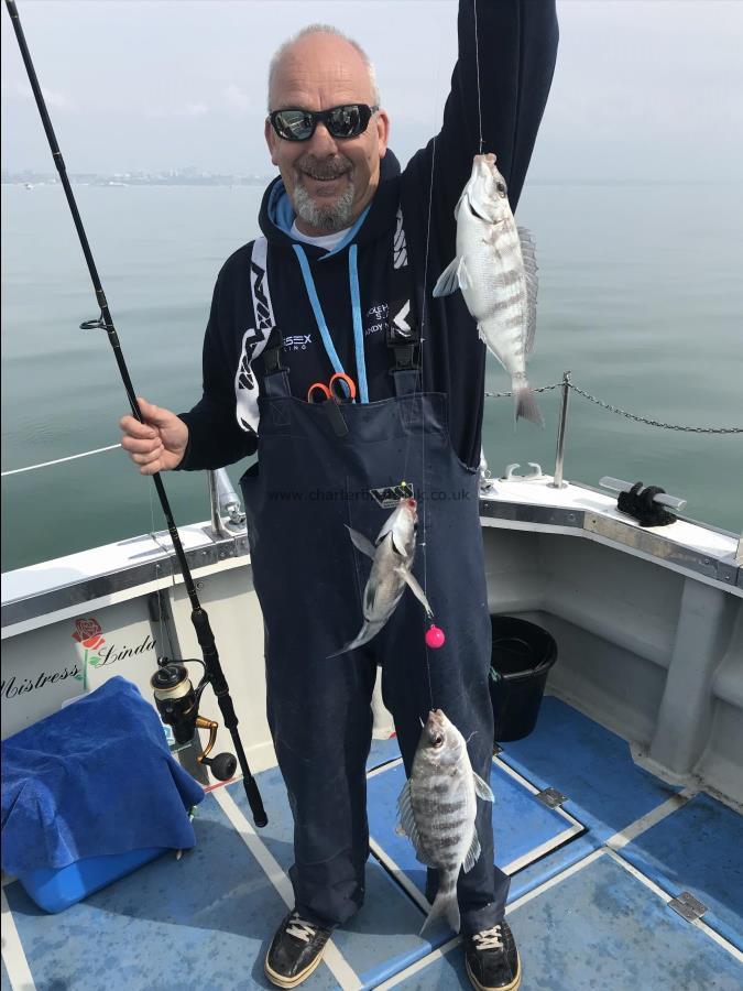 3 lb Black Sea Bream by Andy