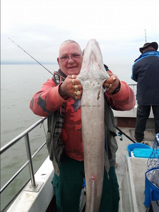 19 lb Conger Eel by Ash McIntyre