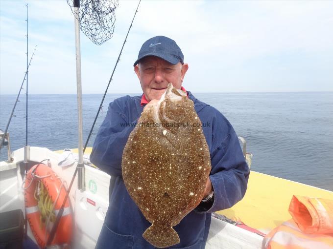 4 lb Brill by John