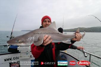 12 lb Starry Smooth-hound by Carlos