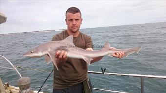 6 lb 8 oz Starry Smooth-hound by Bob Marshall