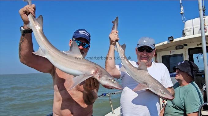 6 lb Smooth-hound by Elliot