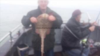 7 lb Thornback Ray by Jeff