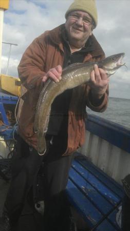 6 lb Ling by Dave Nelson