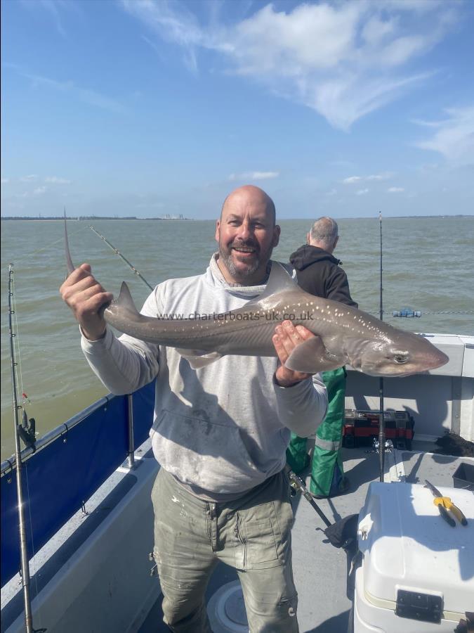 9 lb 3 oz Smooth-hound (Common) by Jamie