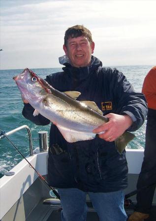 8 lb Pollock by Steve Langton