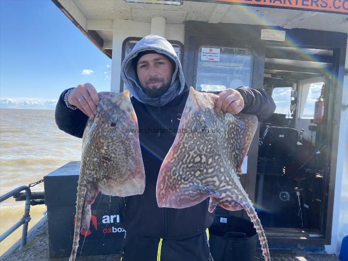 9 lb Thornback Ray by Unknown