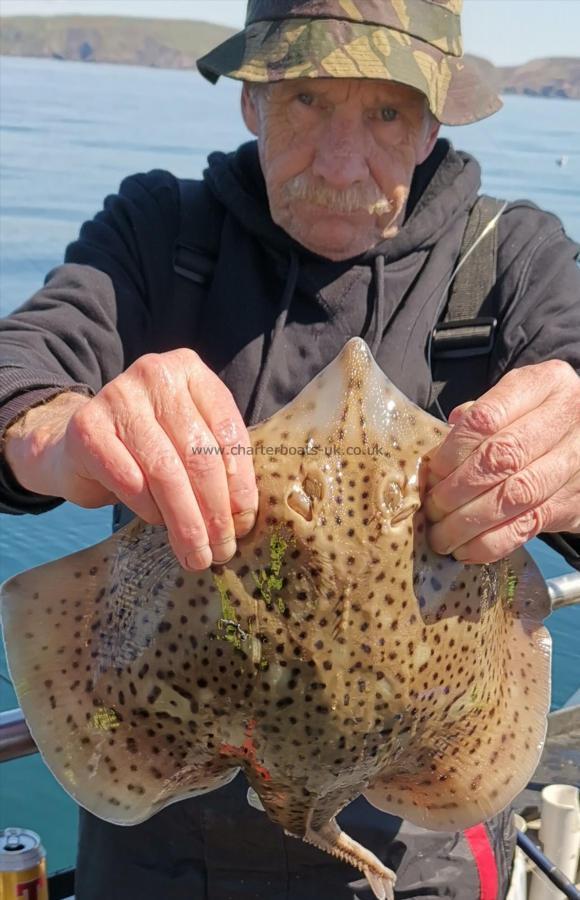 4 lb 6 oz Spotted Ray by ian