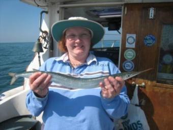 1 lb Garfish by Sarah