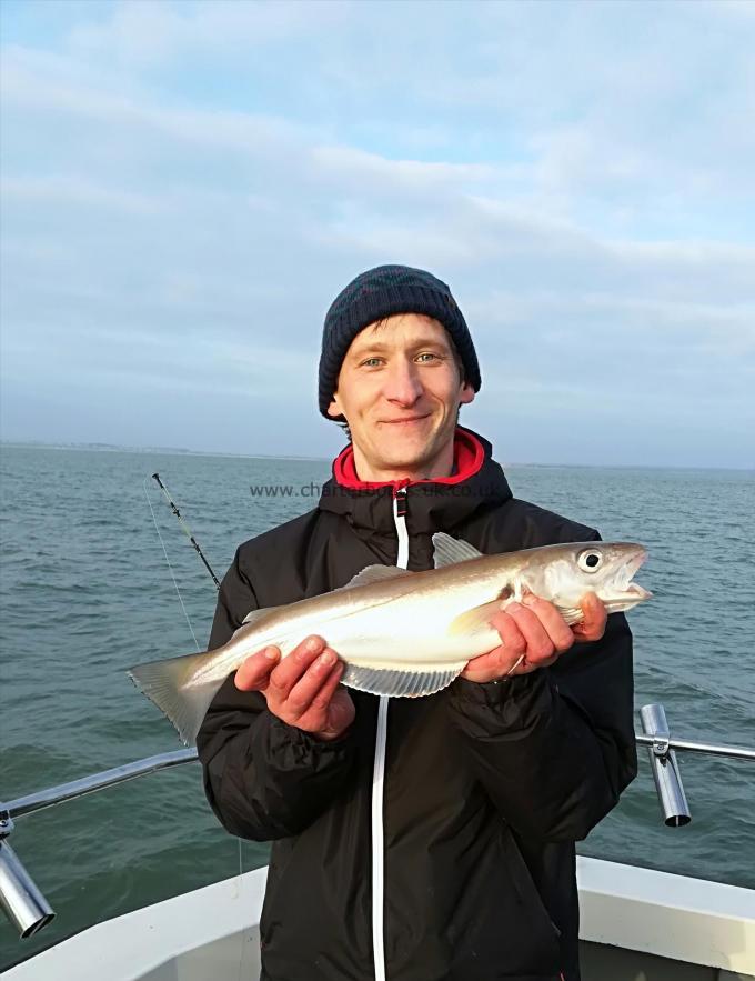 1 lb 14 oz Whiting by George