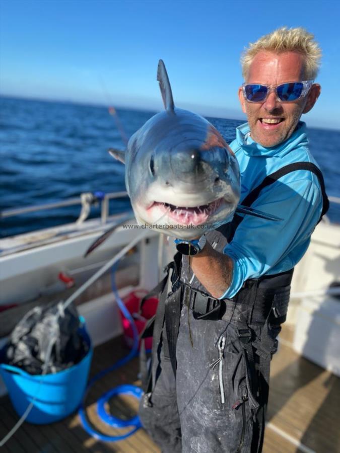 25 lb Porbeagle by Unknown