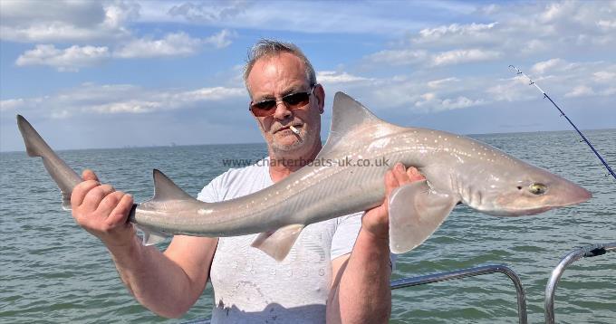12 lb Smooth-hound by Chris