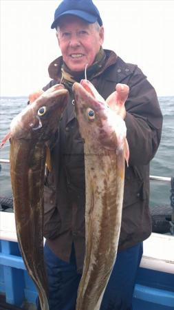 8 lb 6 oz Ling (Common) by chris from hull