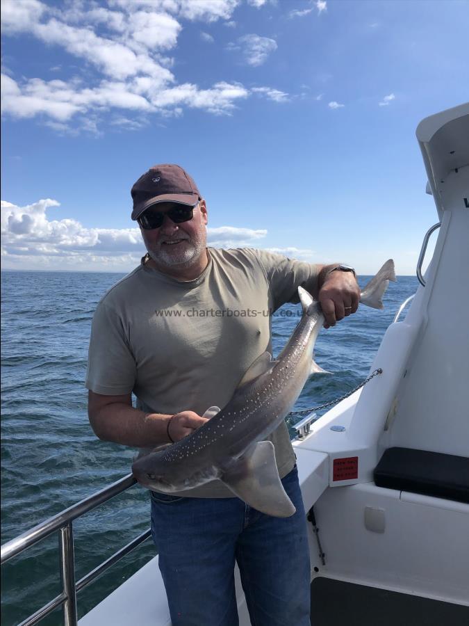 10 lb 4 oz Starry Smooth-hound by Pete