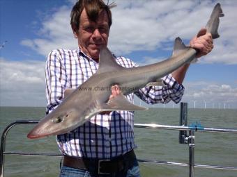 8 lb 7 oz Smooth-hound (Common) by John Oliver