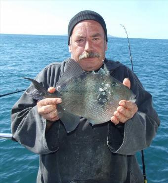 3 lb Trigger Fish by Aidy Cox