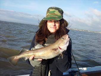 2 lb Cod by Scott Belbin