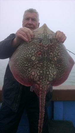 12 lb Thornback Ray by john from broadstairs