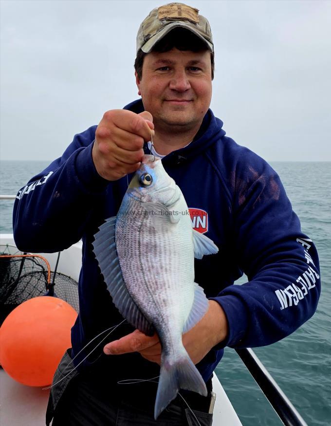 1 lb 6 oz Black Sea Bream by Ben Stoten