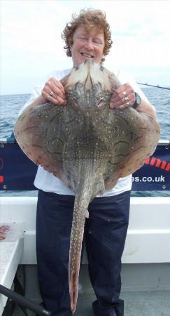 15 lb Undulate Ray by Denise Youngs