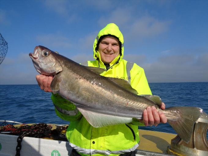 13 lb 8 oz Pollock by Unknown