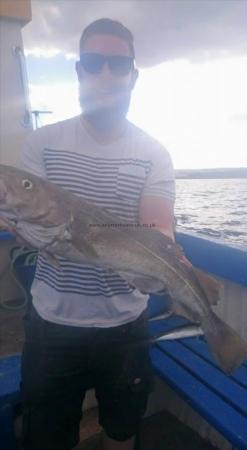 7 lb Cod by Unknown