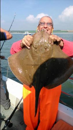 16 lb Blonde Ray by Rob Ashford