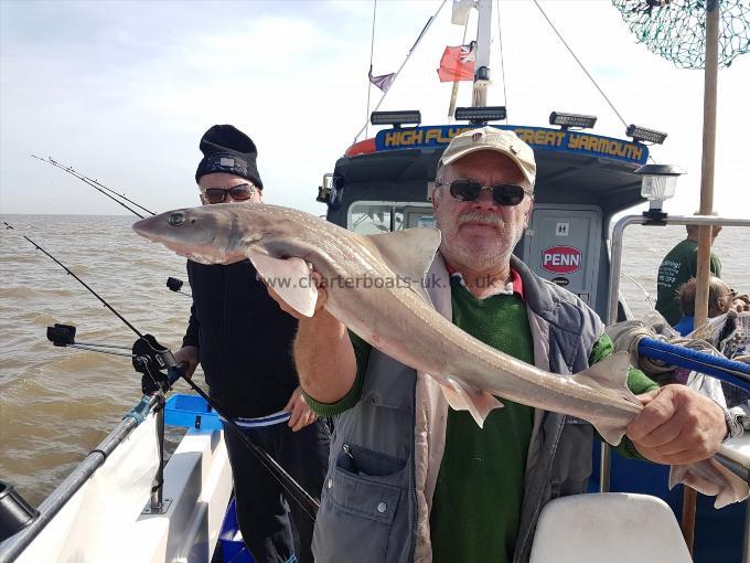 6 lb Starry Smooth-hound by Eric wright
