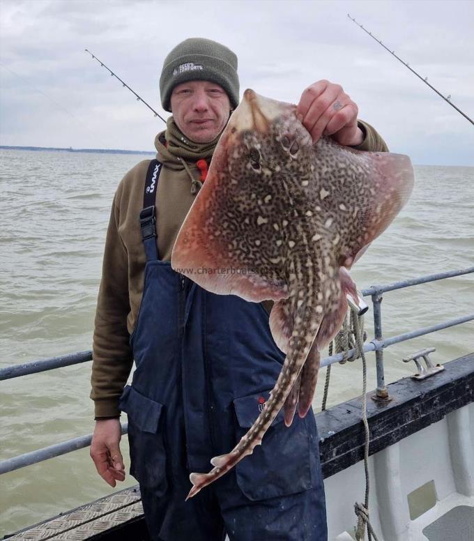 7 lb Thornback Ray by Unknown