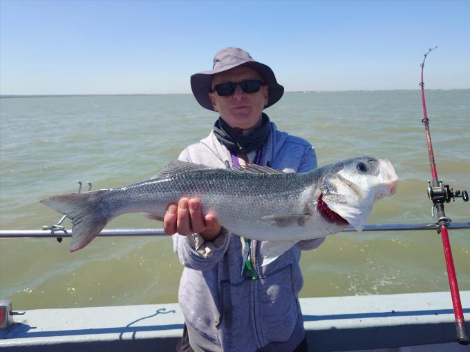 6 lb Bass by Steve