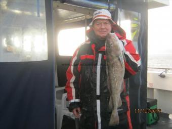 4 lb 8 oz Cod by Steve