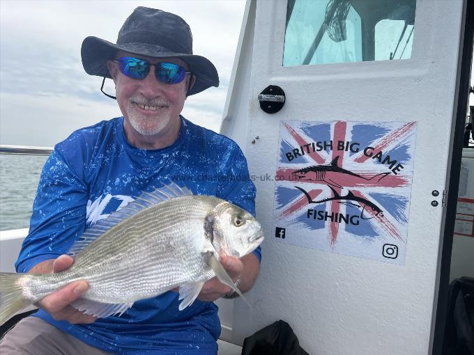 2 lb Gilt-head Sea Bream by Luke