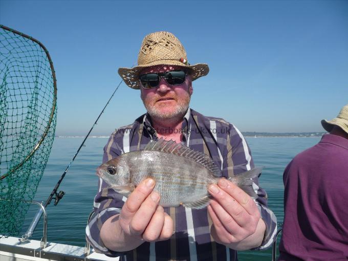 1 lb Black Sea Bream by Martin Gough