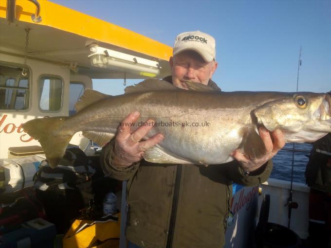 14 lb Pollock by Chris mole