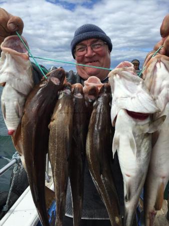 8 lb Cod by mogger from mansfield 21/6/2015