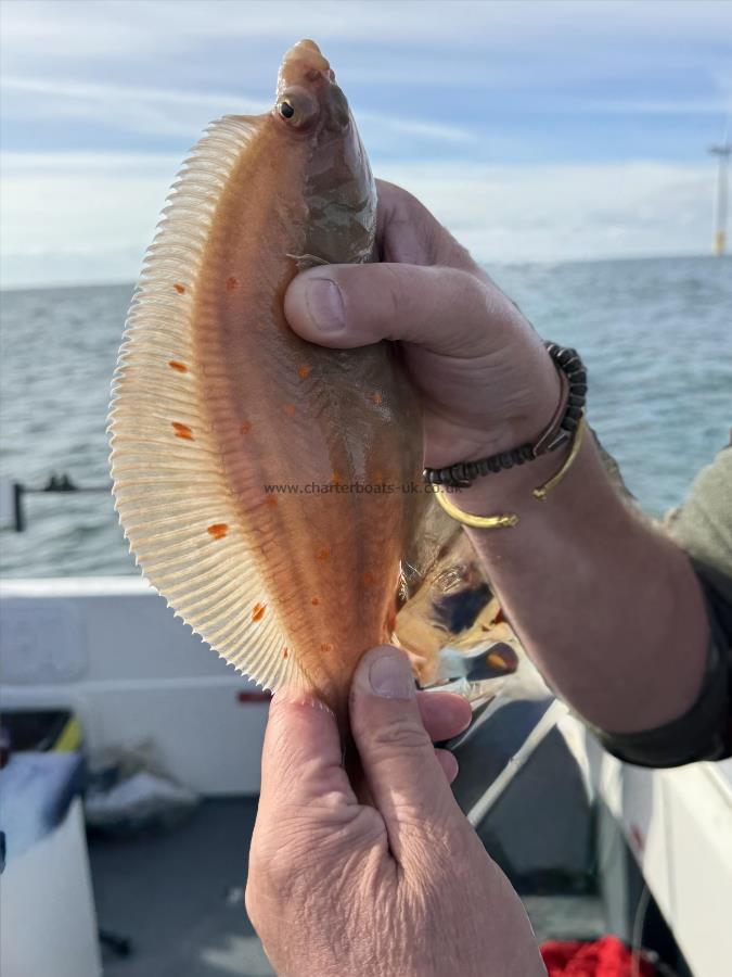 2 lb Plaice by Richard