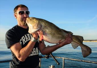 16 lb 8 oz Cod by Daniel Gill