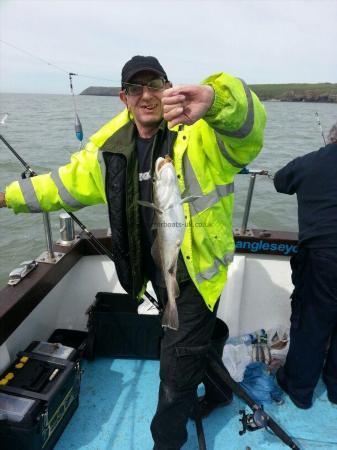 2 lb 8 oz Cod by Unknown