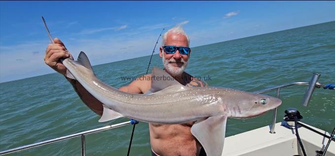 124 lb Starry Smooth-hound by Phil