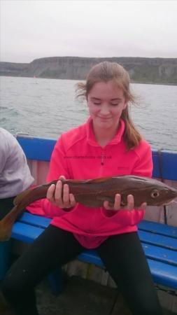 3 lb 8 oz Cod by Unknown