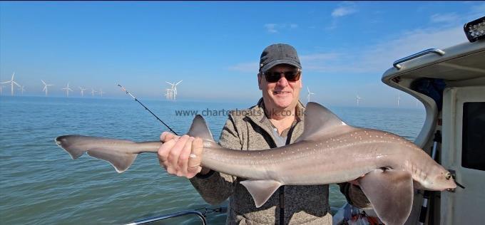 11 lb 6 oz Smooth-hound by Steve.w