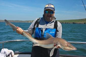 14 lb Starry Smooth-hound by Billy