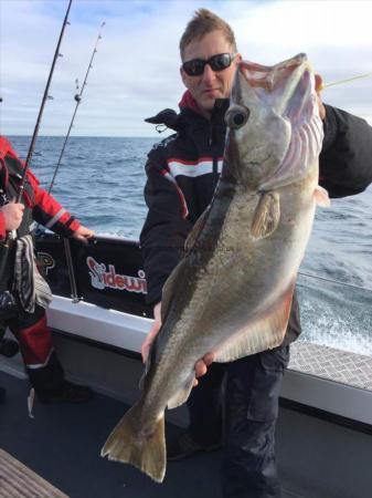 15 lb 5 oz Pollock by MELVIN CHAMBERS