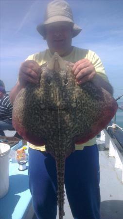 10 lb 2 oz Thornback Ray by kevin from  bromley