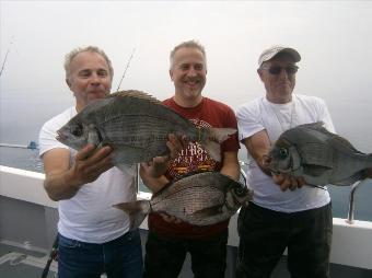 5 lb 12 oz Black Sea Bream by 3 fish over 5lb