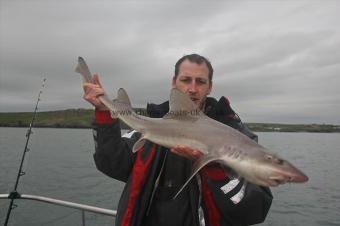 11 lb Starry Smooth-hound by Mark