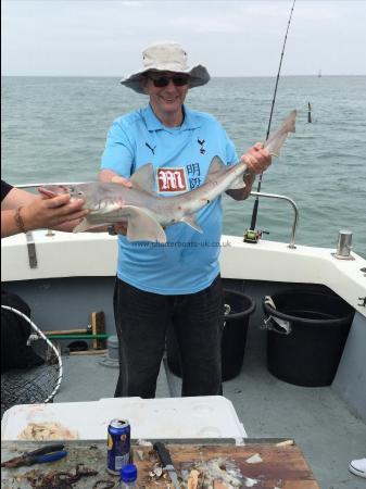 13 lb 9 oz Starry Smooth-hound by steven macleod