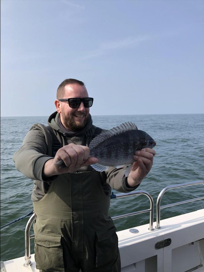 2 lb 8 oz Black Sea Bream by Wayne