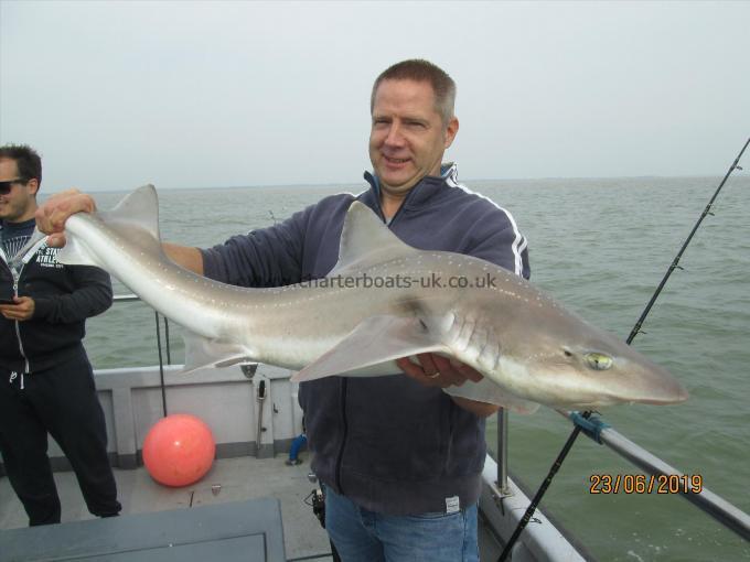 23 lb 8 oz Smooth-hound (Common) by Kevin Oneal