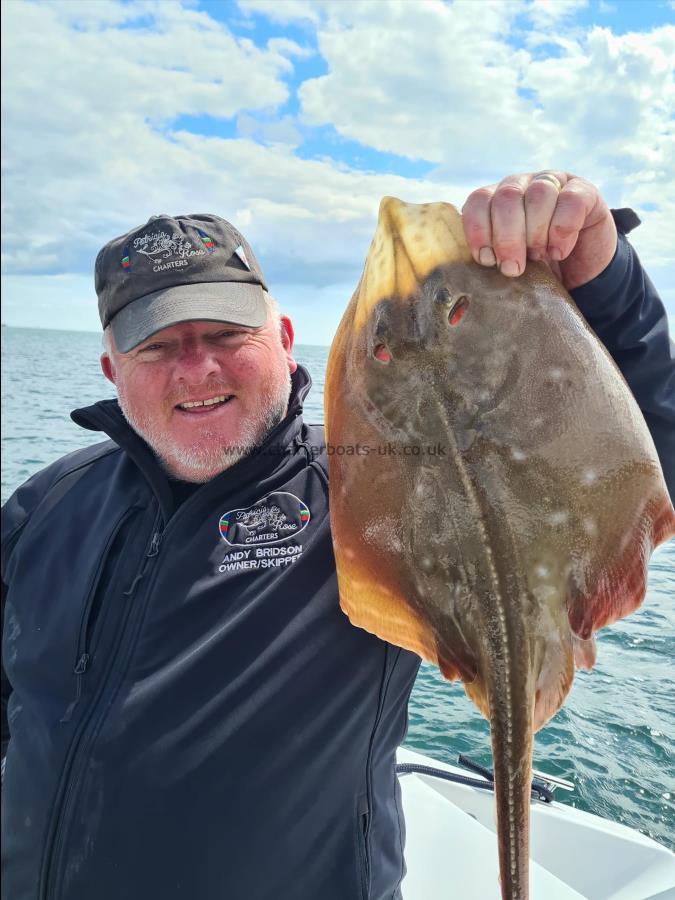 5 lb Small-Eyed Ray by Skipper Andy